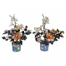 Pair of potted multistone plants